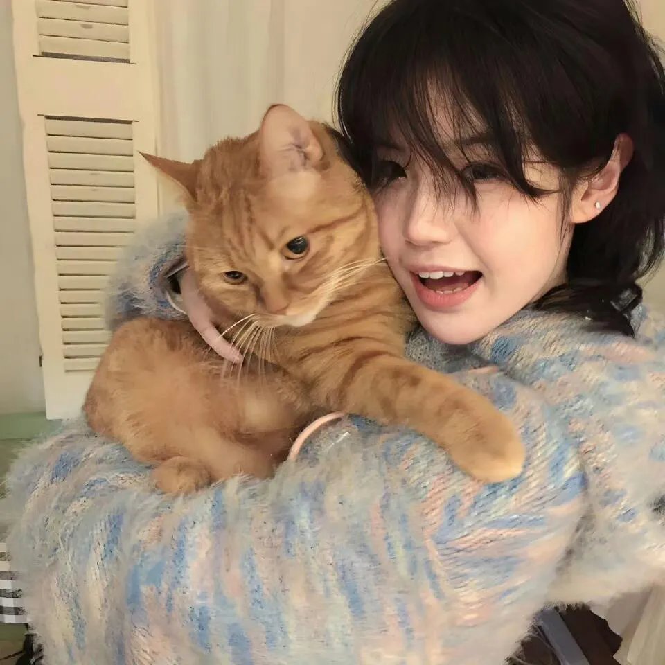 奇幻精灵事件簿